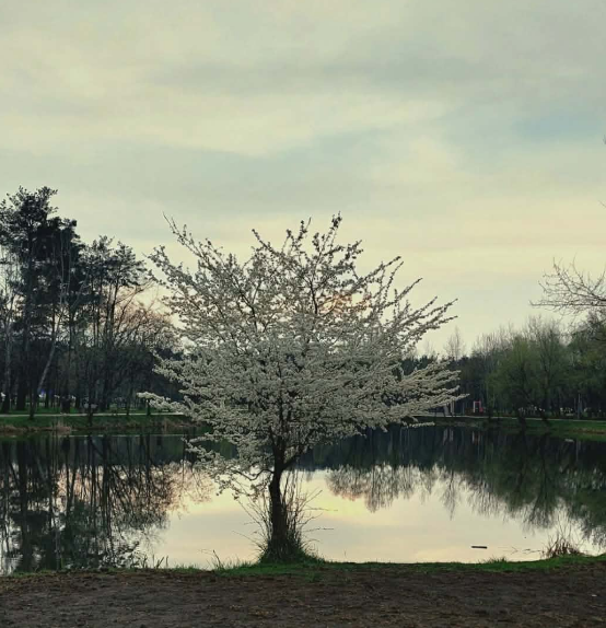 Синоптикиня розповіла, якою в Україні буде погода на вихідних